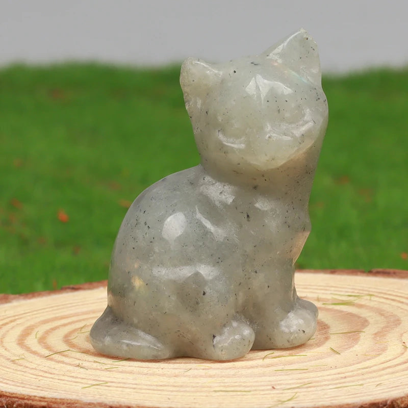 Mini Chakra Cat