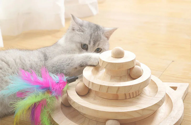 Self-Play Cat Turntable